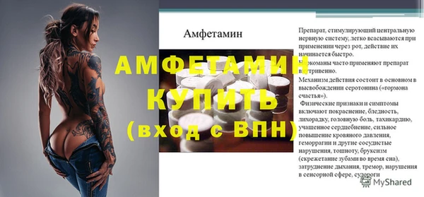мдпв Вяземский