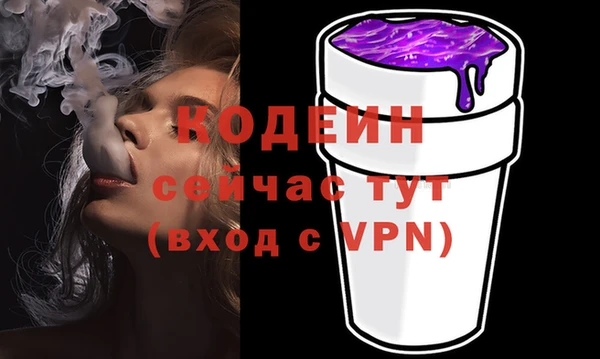 индика Володарск