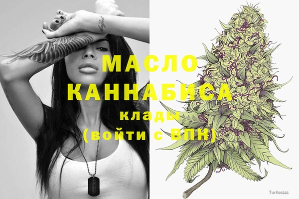 стаф Краснослободск