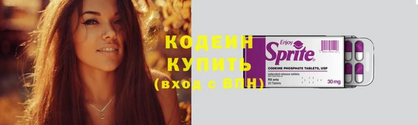 крисы Бородино