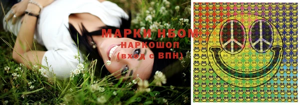 индика Володарск