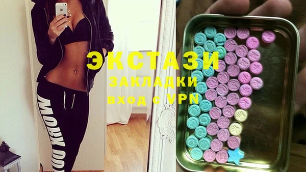 мдпв Вяземский