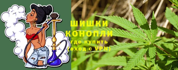 индика Володарск