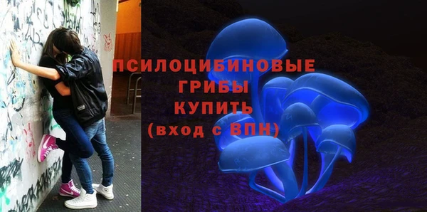 мдпв Вяземский