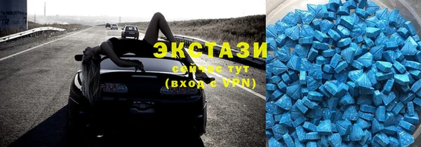 индика Володарск