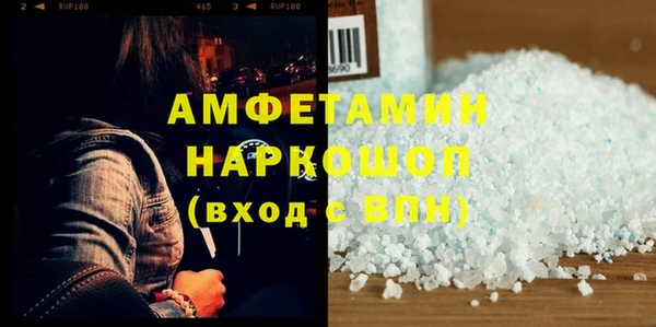индика Володарск