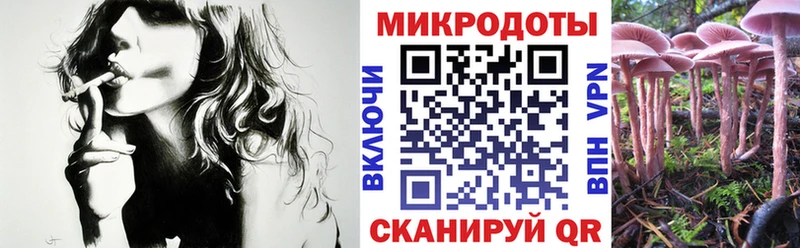 Псилоцибиновые грибы мухоморы  Иланский 