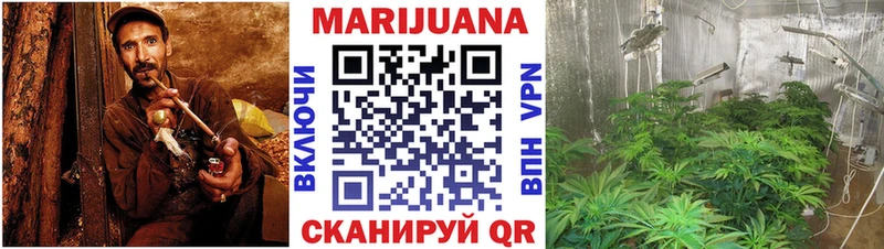 Бошки марихуана OG Kush Иланский